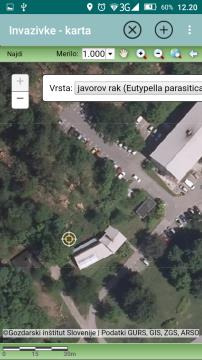 Najdbe invazivnih tujerodnih vrst 5